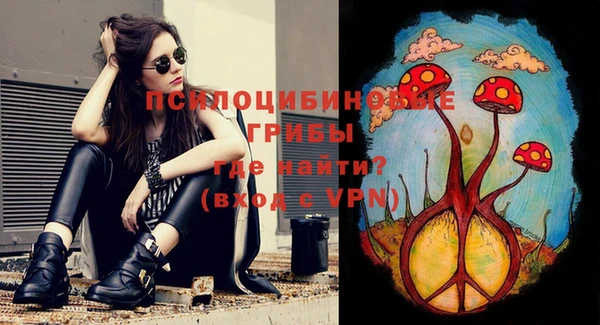 не бодяженный Елабуга