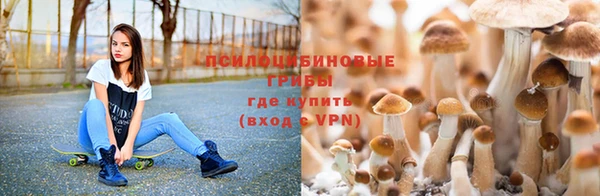 первитин Ельня