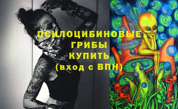 первитин Ельня