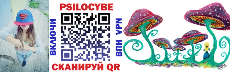 Псилоцибиновые грибы Psilocybine cubensis  Купить закладки  Малоархангельск 