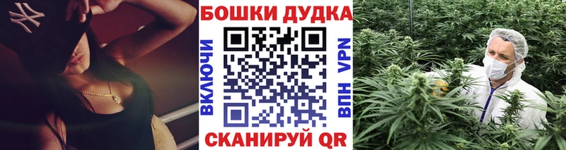 Бошки Шишки планчик Малоархангельск